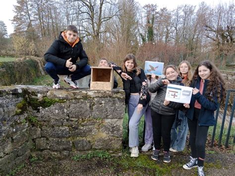 Les ados et le faucon crécerelle CPIE Formation environnement dans