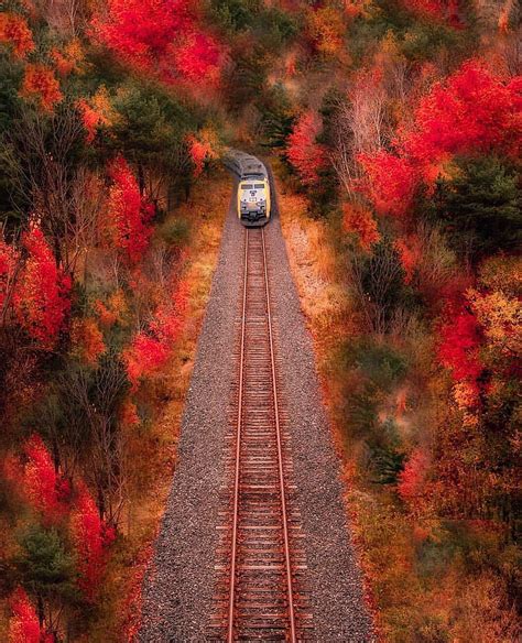 Train In Autumn Trains Fall Canada Hd Phone Wallpaper Peakpx