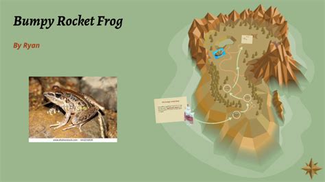 Bumpy Rocket Frog by Donna Robinson on Prezi