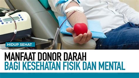 Kebaikan Dan Manfaat Donor Darah Bagi Kesehatan Hidup Sehat Tvone