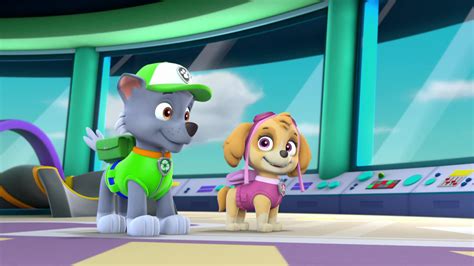 Watch Paw Patrol Season 5 Episode 47 Pups Save A Tower Of Pizza Watch Full Episode Online Hd