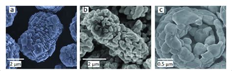 Variety Of Secondary Particle Morphologies Generated Through