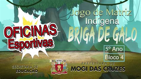 5º ano Briga de Galo YouTube