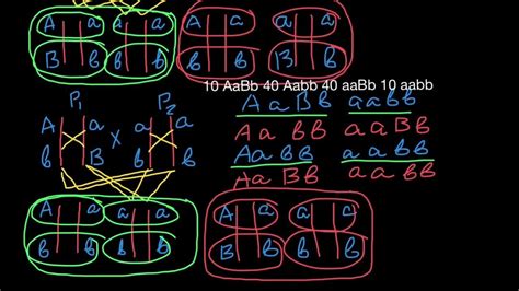 Gene Recombination Repulsion Coupling Youtube