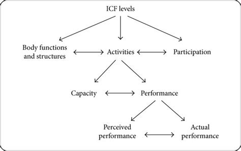 Icf Levels And Subdivision 109 Download Scientific Diagram