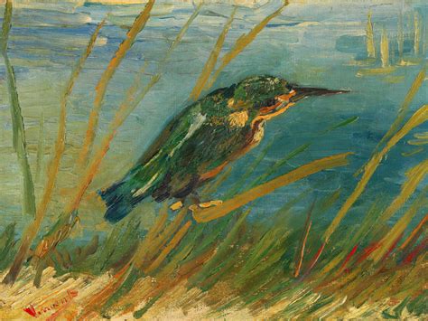 Kingfisher By The Waterside Vintage Wildlife Vincent Van Gogh