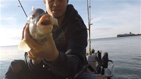 Fishing For Tautog At The Concrete Ghost Ships On The Eastern Shore