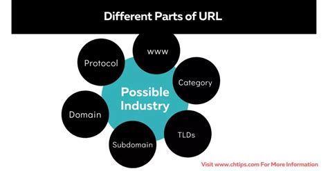 5 Different Types Of URLs What Is