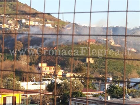 Pozzuoli Incendio Sulla Collina Le Fiamme Alimentate Dal Vento