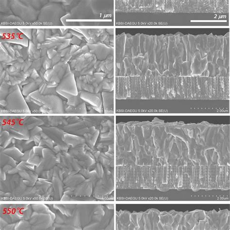 P T Phase Diagram Of Tert Butanol And Freeze Drying Path Download