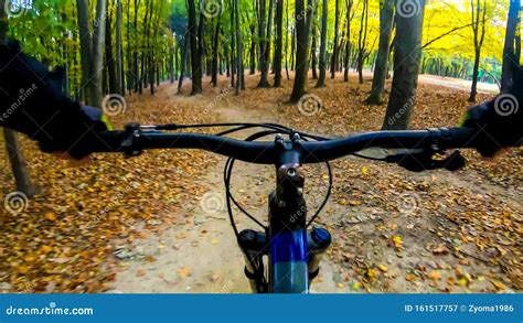 Amateur Rider Riding On The Trails In The Autumn Season Stock Image