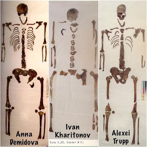 The Skeletal Remains Of Anna Stephanovna Demidova Ivan Mikhailovich