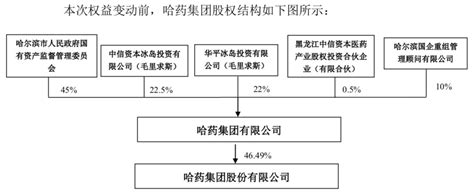 哈药集团新增两投资者 或不再是国有控股企业 四川省医药保化品质量管理协会