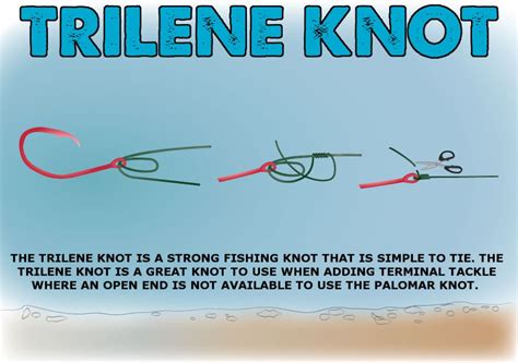 Trilene Knot The Simple Must Know Fishing Knot Fishing Knots