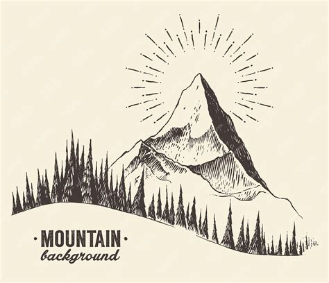 Premium Vector | Sketch of a mountains with fir forest, engraving style ...