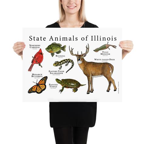 Illinois State Animals Poster Print - Etsy