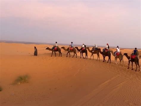 Morocco Explore Adventure Casablanca Updated 2021 All You Need To