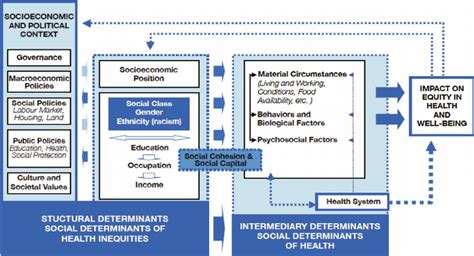 Social Determinants Of Health Framework Who Permission To