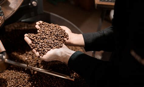 Kopi Specialty Istilah Yang Wajib Anda Mengerti Sebagai Pecinta Kopi