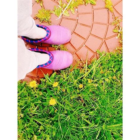 Я тоже дачник! ☔️ #дача #кляча #выходной #подмосковье #гал… | Flickr