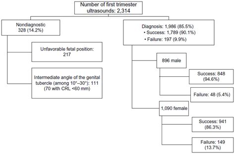 Ultrasound Measurement Learning Of Fetal Sex During The First Trimeste