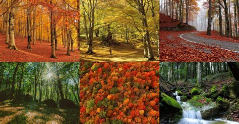 I 6 Luoghi Speciali Dove Ammirare Il Foliage In Abruzzo Lazio E Molise