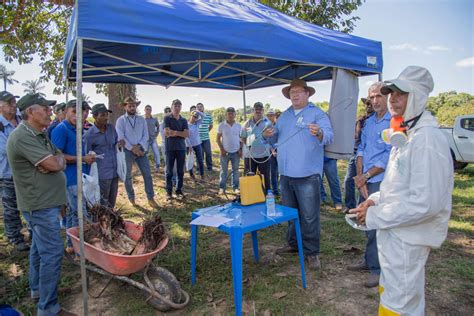 Energia Sustent Vel Do Brasil E Embrapa Realizam Dia De Campo Da Banana