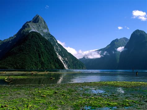 Landscape Milford Sound Fiordland National Park Fjord New Zealand