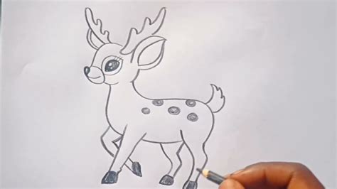 كيفية رسم غزالkayfiat Rasm Ghazalرسم غزالی Ghazal Drawing Youtube