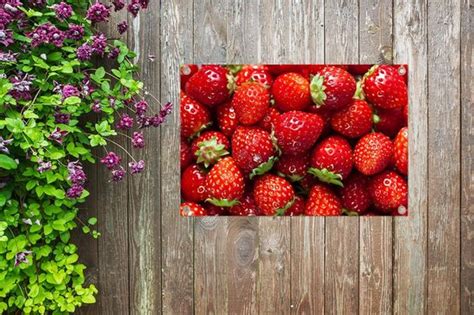 Tuinposters Buiten Aardbei Fruit Zaadjes 90x60 Cm Bol