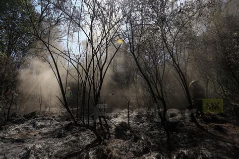 Nevado De Toluca Cerrado Debido A Incendios Forestales Factormx