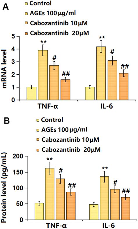 Cabozantinib Prevents AGEs Induced Degradation Of Type 2 Collagen And