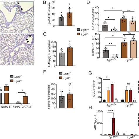 Maresin Enhances Viral Clearance And Decreases Type Inflammation