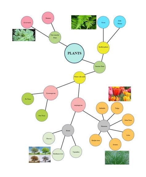 Free Editable Cluster Diagram Examples | EdrawMax Online