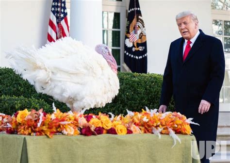 Photo President Trump Pardons The National Thanksgiving Turkey In