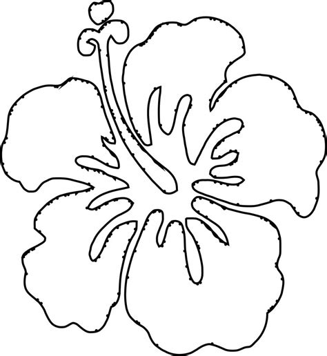 Flower Coloring Page Wecoloringpage Wecoloringpage 6300 The Best Porn