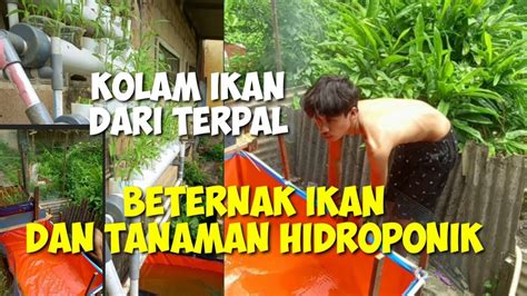 Kolam Lele Dari Terpal Mencoba Ternak Ikan Dan Tanaman Hidroponik Youtube