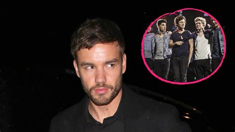 One Direction Zeit Liam Payne Ertrug Gigs Nur Mit Alkohol Promiflash De