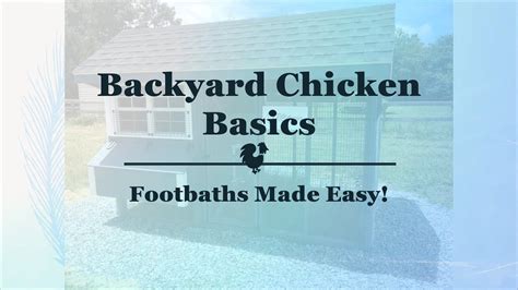 Backyard Chicken Basics Footbaths Made Easy YouTube