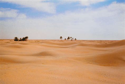 Filming in Grand Erg Oriental in Tunisia - Production fixers in Tunisia