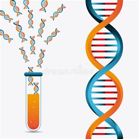 脱氧核糖核酸设计 向量例证 插画 包括有 服务 设计 科学 基因 传记 健康 烧瓶 关心 61576453