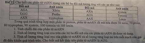 Giúp mik vs mn ơi mình đag cần gấp câu hỏi 2481492 hoidap247