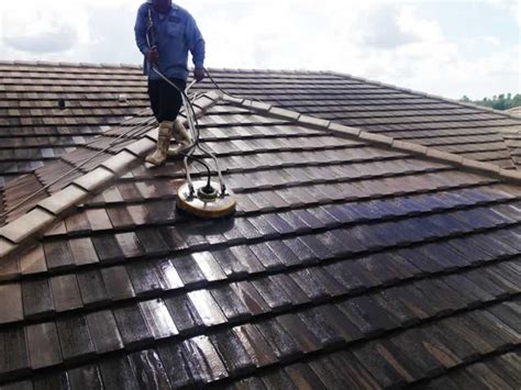 Roof Cleaning: A Guide for Homeowners