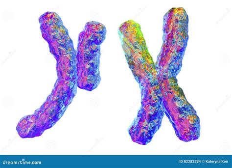 Menselijke Chromosomen Illustratie Stock Illustratie Illustration Of