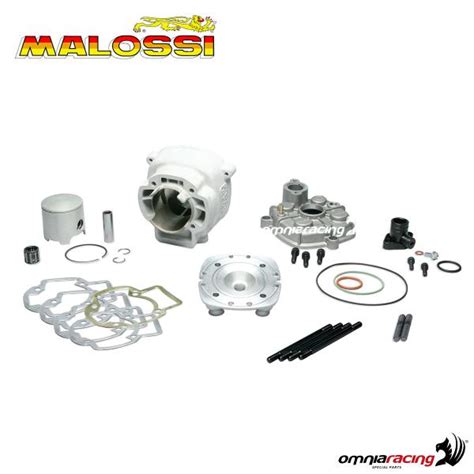 Malossi Big Bore Piaggio Edu Svet Gob Gt