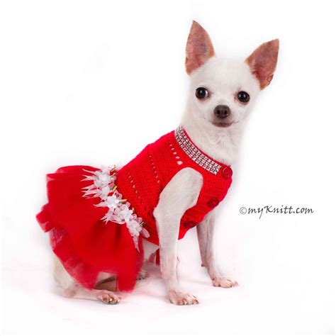 Teacup Chihuahua Clothes