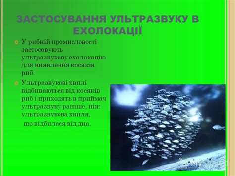 Презентация на тему: "У ЛЬТРАЗВУК пружні звукові коливання високої ...