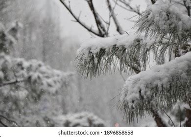 4,133 Snow Accumulation Images, Stock Photos & Vectors | Shutterstock