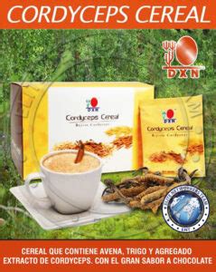 Beneficios Del Cordyceps Cereal Dxn Dxn Virtual