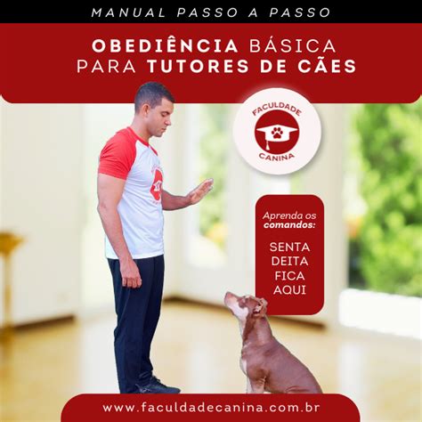 Manual De Obedi Ncia B Sica Para Tutores De C Es Faculdade Canina